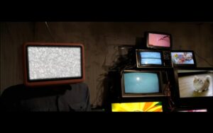 538388_295494760521436_342355061_n