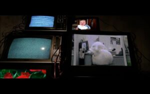 540807_295494477188131_884310650_n