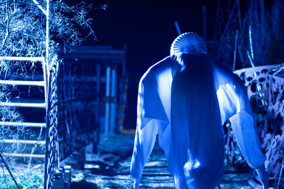 Taraf de Tucson copy